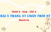 Bài 5 trang 57 Toán 8 Chân trời sáng tạo Tập 2